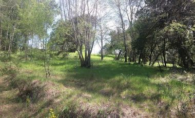 Parcelas Parque Nereo ubicadas cerca de Hualqui y a un paso de Concepción