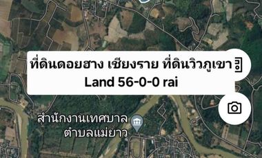 Land for sale with mountain view, good atmosphere, Doi Hang, Chiang Rai Special price land, suitable for investment and business