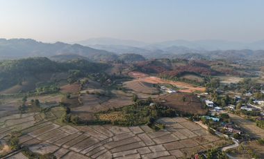 Land for sale with mountain view, good atmosphere, Doi Hang, Chiang Rai Special price land, suitable for investment and business