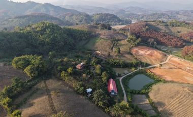 Land for sale with mountain view, good atmosphere, Doi Hang, Chiang Rai Special price land, suitable for investment and business