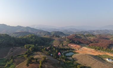 Land for sale with mountain view, good atmosphere, Doi Hang, Chiang Rai Special price land, suitable for investment and business