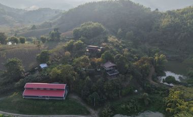 Land for sale with mountain view, good atmosphere, Doi Hang, Chiang Rai Special price land, suitable for investment and business