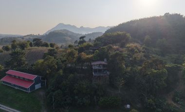 Land for sale with mountain view, good atmosphere, Doi Hang, Chiang Rai Special price land, suitable for investment and business