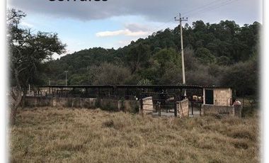 TERRENO EN VENTA TAPALPA, JALISCO