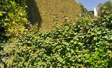 CASA EN VENTA EN MOLINO DE SANTO DOMINGO