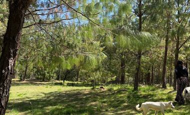 Terreno con cabañas en venta en Honney Puebla.