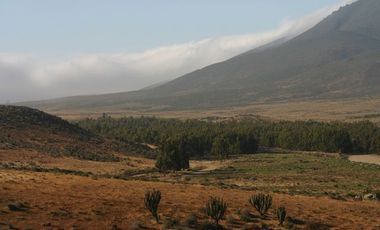 Terreno/ Loteo Minas De Talinay/ Limarí