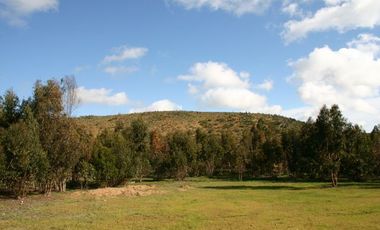 Terreno/ Loteo Minas De Talinay/ Limarí