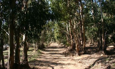 Terreno/ Loteo Minas De Talinay/ Limarí