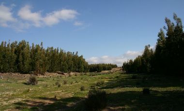 Terreno/ Loteo Minas De Talinay/ Limarí