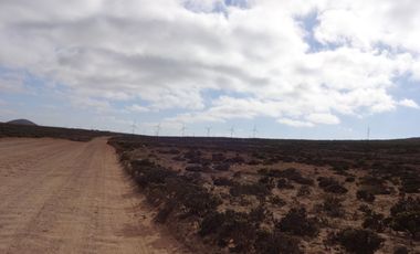 Terreno/ Loteo Minas De Talinay/ Limarí