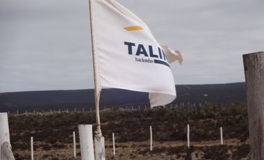 Terreno/ Loteo Minas De Talinay/ Limarí