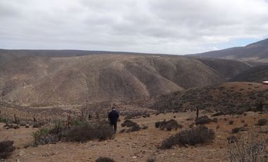 Terreno/ Loteo Minas De Talinay/ Limarí