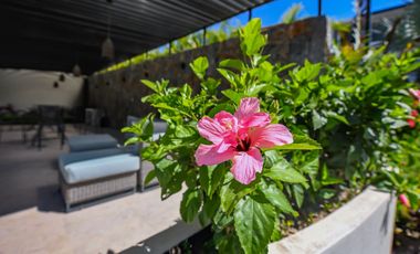 Departamento en venta habitacional