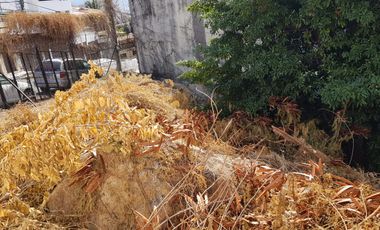 TERRENO EN VENTA EN ACAPULCO