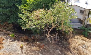 TERRENO EN VENTA EN ACAPULCO