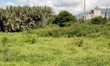 Terreno en venta, Cotacachi, Quiroga 433m2, con ubicación privilegiada en el centro