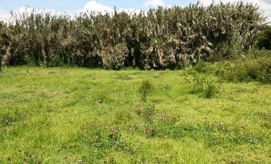 Terreno en venta, Cotacachi, Quiroga 433m2, con ubicación privilegiada en el centro