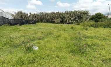 Terreno en venta, Cotacachi, Quiroga 433m2, con ubicación privilegiada en el centro