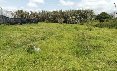 Terreno en venta, Cotacachi, Quiroga 433m2, con ubicación privilegiada en el centro