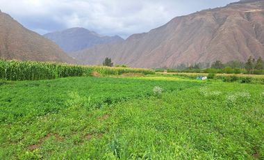 Terreno en Venta – Yucay, Urubamba, Valle Sagrado de los Incas, Cusco
