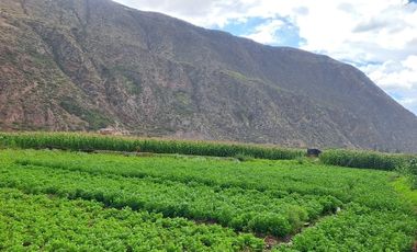 Terreno en Venta – Yucay, Urubamba, Valle Sagrado de los Incas, Cusco