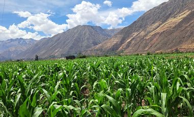 Terreno en Venta – Yucay, Urubamba, Valle Sagrado de los Incas, Cusco