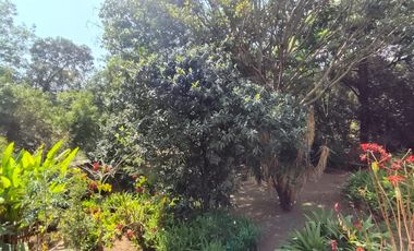 CASA EN VENTA EN PUEBLO MISTICO  AMATLAN DE QUETZALCOATL, TEPOZTLAN MORELOS $10,000,000.00