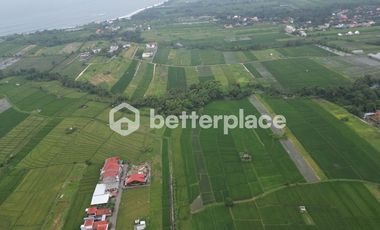 Prime 19,5 Are Freehold Land in Kedungu – A Growing Investment Opportunity