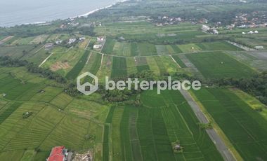 Prime 19,5 Are Freehold Land in Kedungu – A Growing Investment Opportunity