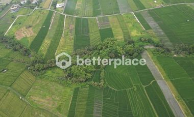 Prime 19,5 Are Freehold Land in Kedungu – A Growing Investment Opportunity
