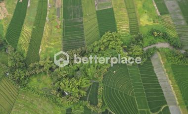 Prime 19,5 Are Freehold Land in Kedungu – A Growing Investment Opportunity