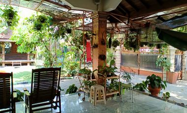 Rumah siap huni design classic furnished di Kerten Solo Jawa tengah