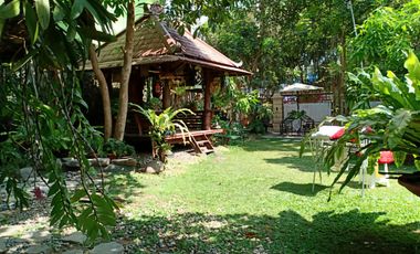Rumah siap huni design classic furnished di Kerten Solo Jawa tengah