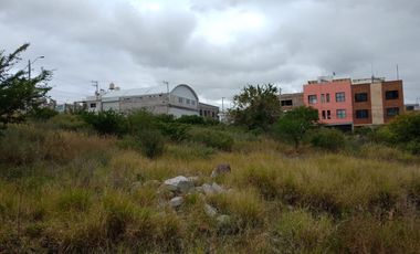 TERRENO EN RENTA - Colinas de San Pablo