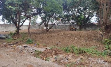 FOR SALE - Vacant lot with 2 road front in Celestino Road, Sta Maria, Bulacan