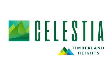 Huge Savings Alert: Get Up to ₱2.3M Discount For Cash Buyer on a 550sqm Residential Lot at CELESTIA TIMBERLAND HEIGHTS San Mateo – Prime Location Near