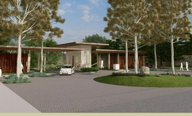 Huge Savings Alert: Get Up to ₱2.3M Discount For Cash Buyer on a 550sqm Residential Lot at CELESTIA TIMBERLAND HEIGHTS San Mateo – Prime Location Near