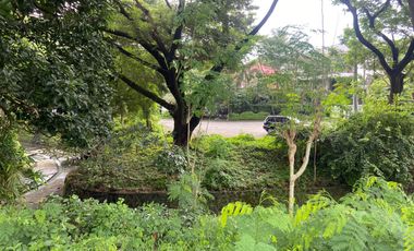 Repriced! Lot For Sale - Ayala Alabang Village
