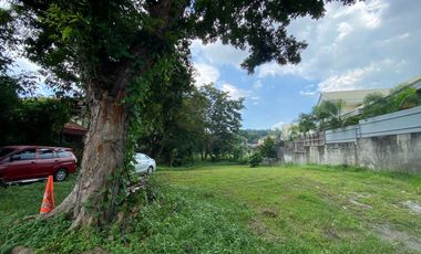 Repriced! Lot For Sale - Ayala Alabang Village