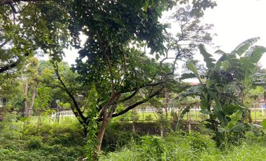 Repriced! Lot For Sale - Ayala Alabang Village
