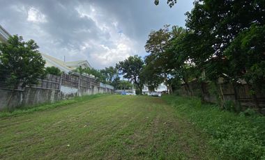 Repriced! Lot For Sale - Ayala Alabang Village