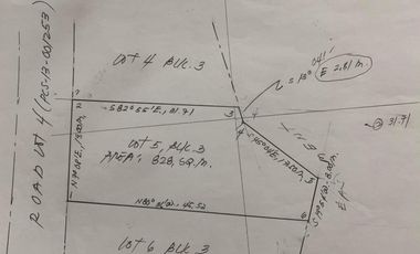 Repriced! Lot For Sale - Ayala Alabang Village