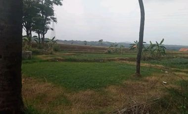 Jual Cepat Tanah Pinggir Jalan Raya Cirebon Kuningan 3km dari Tol