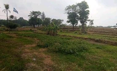 Jual Cepat Tanah Pinggir Jalan Raya Cirebon Kuningan 3km dari Tol