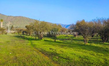 Se venden o permutan 5 sitios de 1000 m2 cada uno en Cuyuncavi abajo, Curacaví