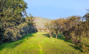 Se venden o permutan 5 sitios de 1000 m2 cada uno en Cuyuncavi abajo, Curacaví