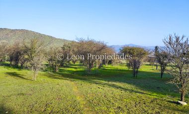 Se venden o permutan 5 sitios de 1000 m2 cada uno en Cuyuncavi abajo, Curacaví