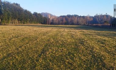TERRENO DE 6 HECTÁREAS EN PAILLAO, VALDIVIA REGIÓN DE LOS RIOS.