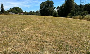 TERRENO DE 6 HECTÁREAS EN PAILLAO, VALDIVIA REGIÓN DE LOS RIOS.